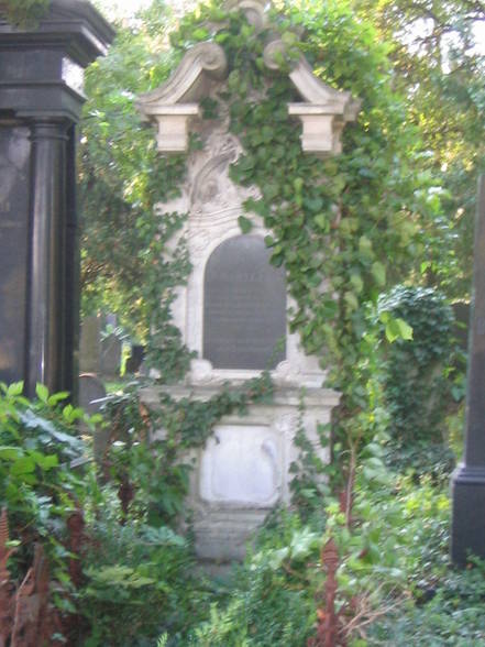 Wiener Zentralfriedhof... - 