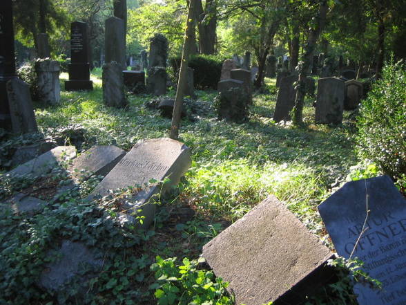 Wiener Zentralfriedhof... - 