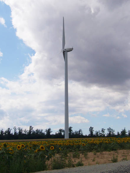 Reine Energie für die Zukunft - 