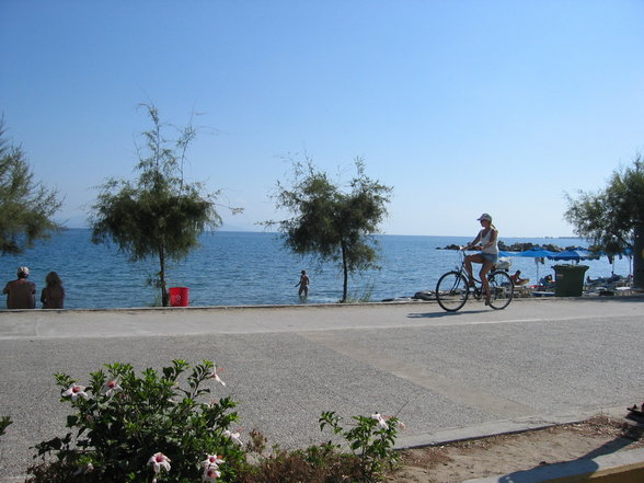 KOS 2007 - 