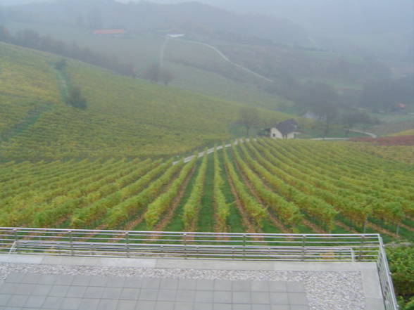 Steiermark Sommelier - 