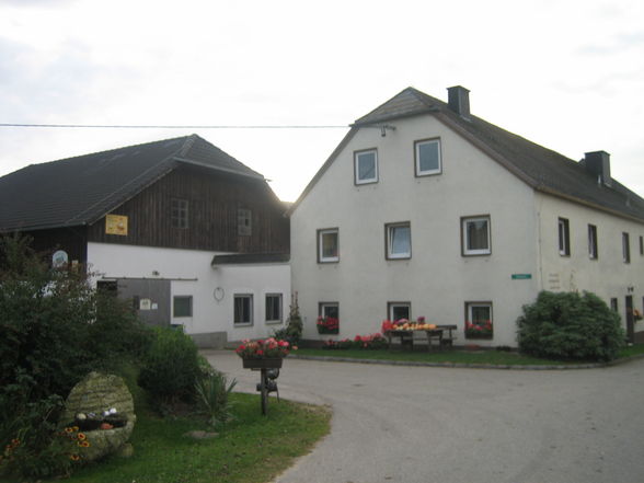 dimbach - 