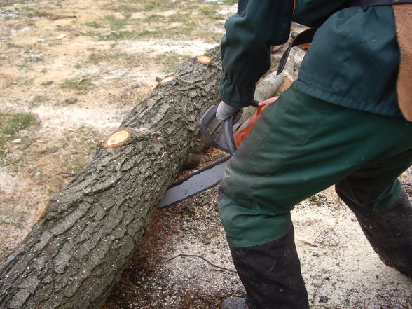 Wald arbeiten - 