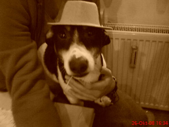 mein hund ! - 