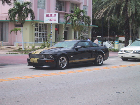 Miami Beach 2006 - 