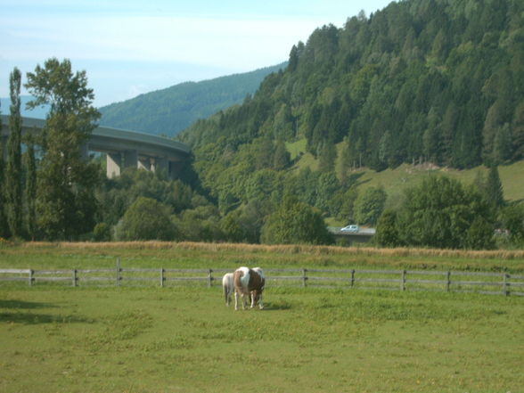 Urlaub in Kärnten - 