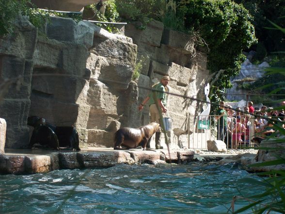 Urlaub in Wien (Schönbrunn) - 