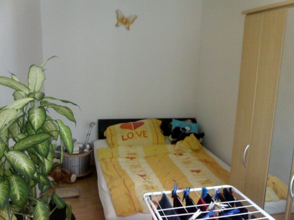 Wohnung, UNI, und Wien - 