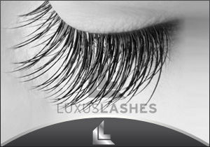 Luxus Lashes  - 