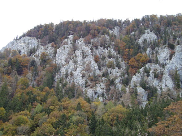 Mollnerhütte 2009 - 