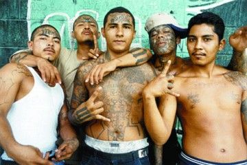 MS-13 - 