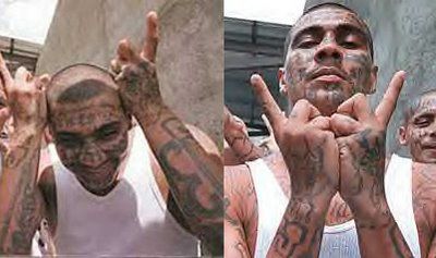 MS-13 - 