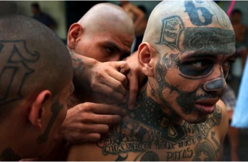 MS-13 - 