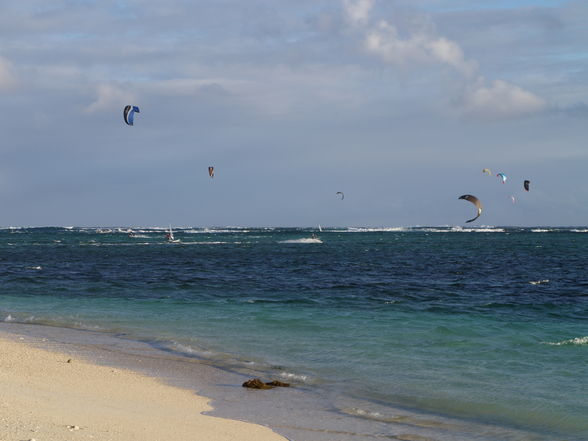 Mauritius 2008 - 