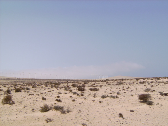 Fuerteventura 2007 - 