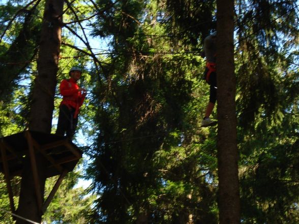 Hochseilgarten - 