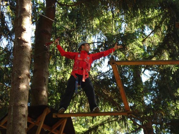 Hochseilgarten - 