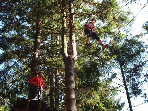 Hochseilgarten - 