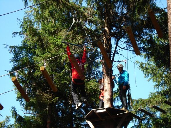 Hochseilgarten - 