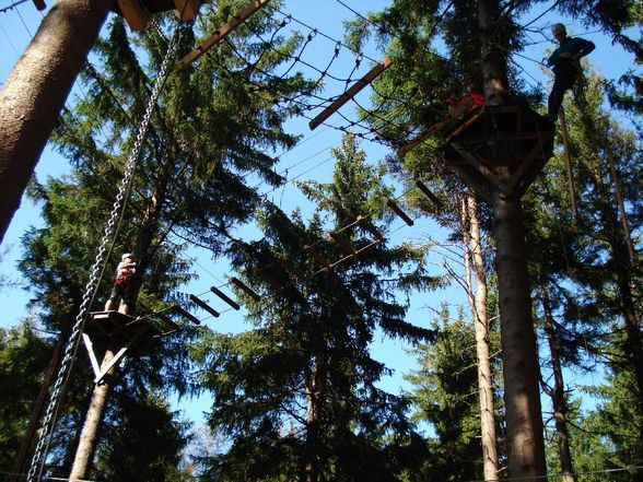 Hochseilgarten - 