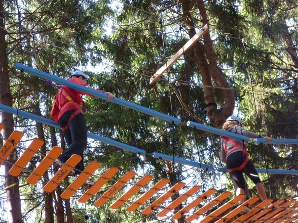 Hochseilgarten - 