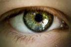 AuGeN - 