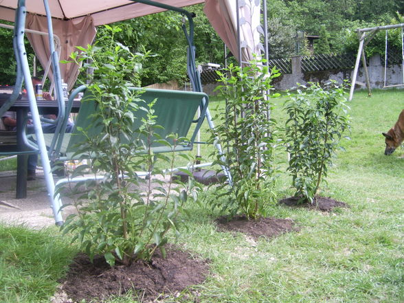 Unser Garten - 