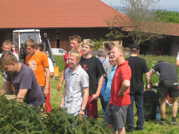 maibaum fotos 2007!! - 