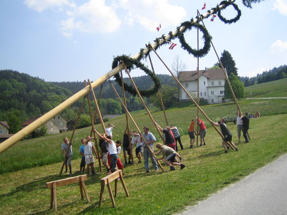 maibaum fotos 2007!! - 