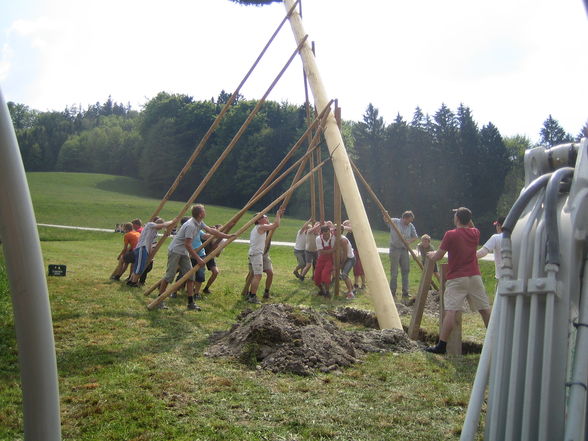 maibaum fotos 2007!! - 