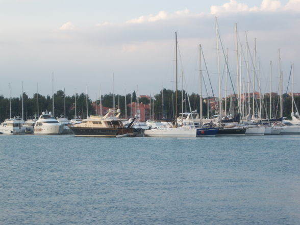 Kroatien/Novigrad 2009 - 