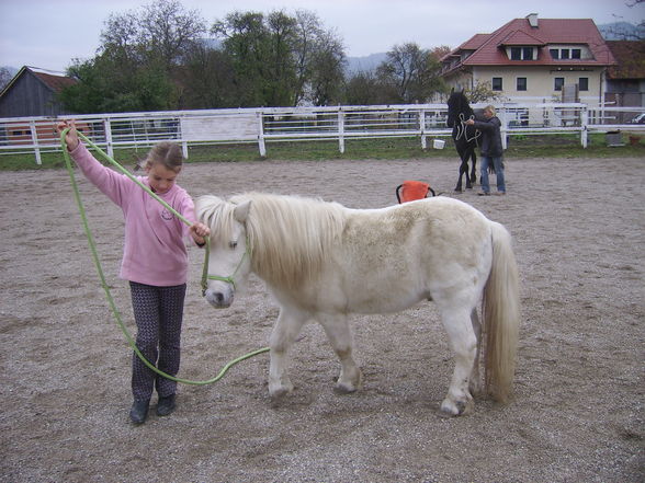 Meine Tiere und mei schwesta - 