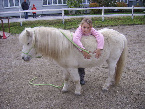 Meine Tiere und mei schwesta - 