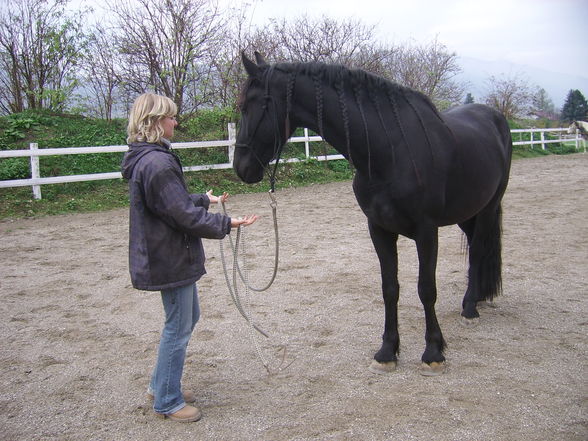 Meine Tiere und mei schwesta - 