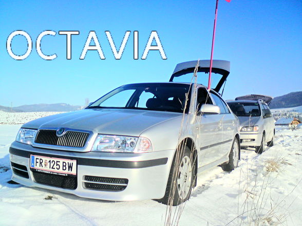 My Octavia - 