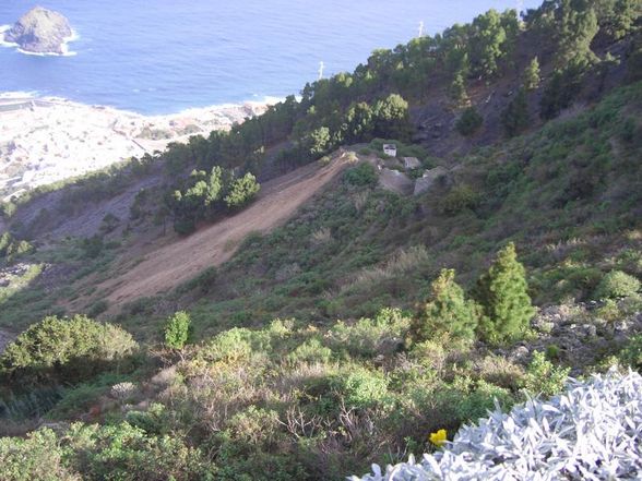 LoroPark2008 Teneriffa - 