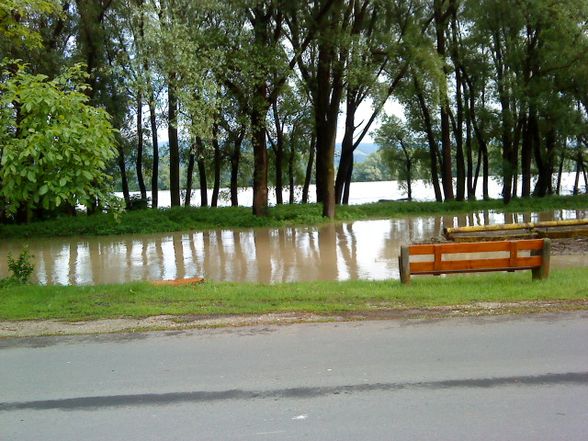 Hochwasser. 2o1o - 