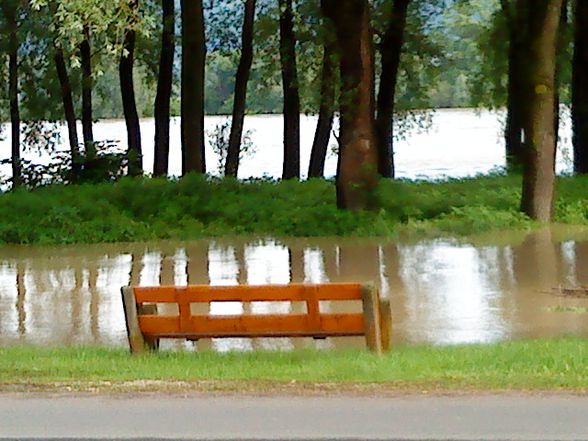 Hochwasser. 2o1o - 