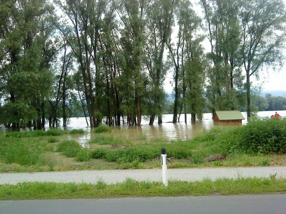 Hochwasser. 2o1o - 