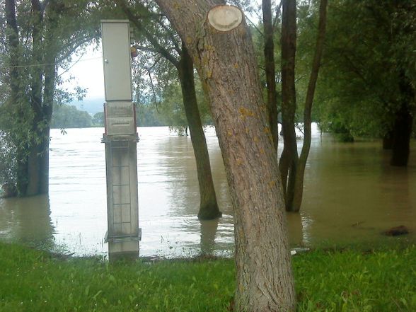 Hochwasser. 2o1o - 