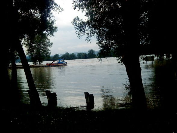 Hochwasser. 2o1o - 