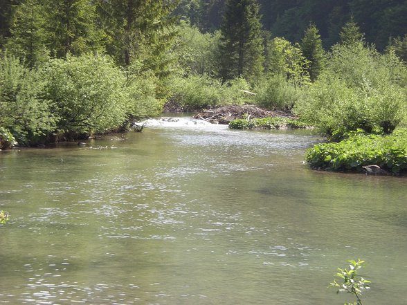 Ein Tag im Grünen - 