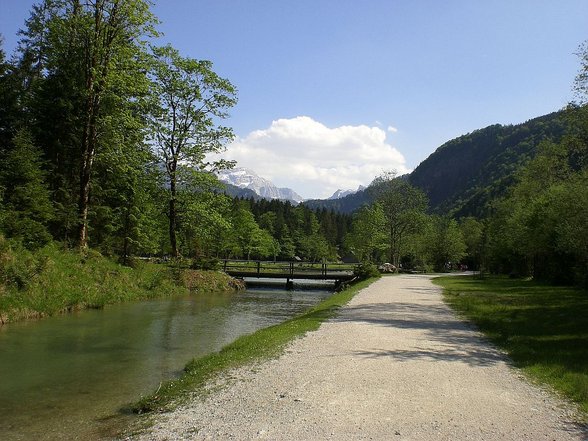 Ein Tag im Grünen - 