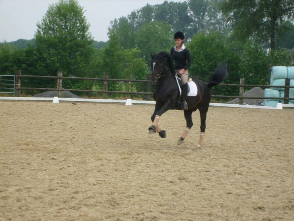 mein FS Turnierpony - 