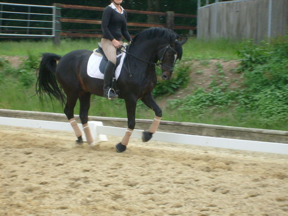 mein FS Turnierpony - 