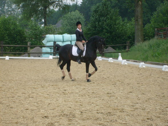 mein FS Turnierpony - 