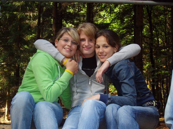 meine friends - 