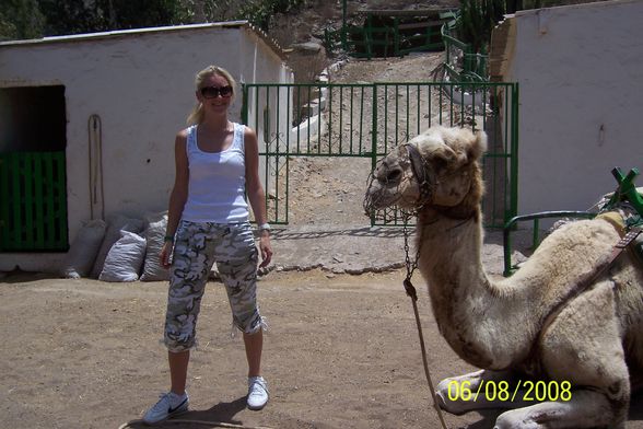 Urlaub 2008 - Gran Canaria - 