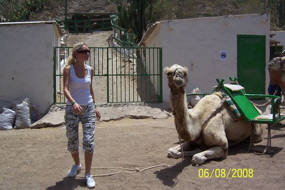 Urlaub 2008 - Gran Canaria - 