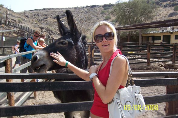 Urlaub 2008 - Gran Canaria - 